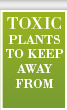 Toxic plants